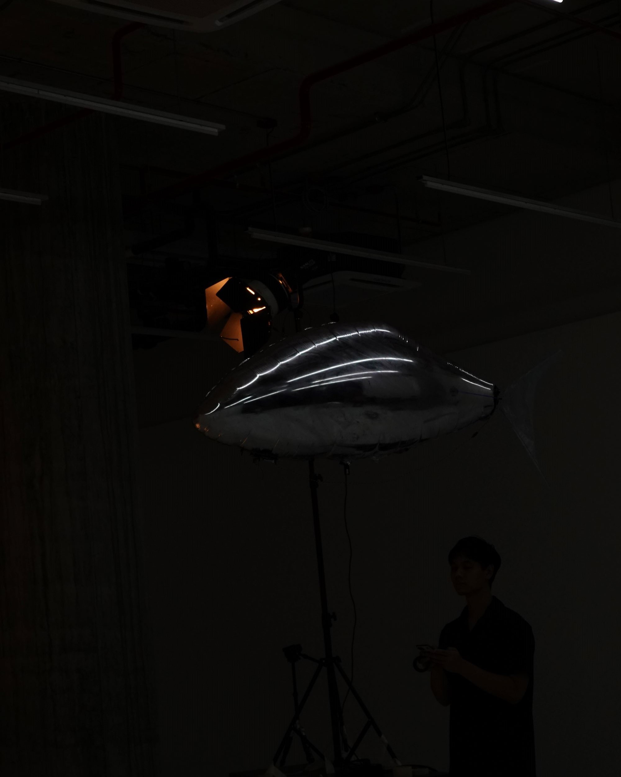 flock of by bit.studio