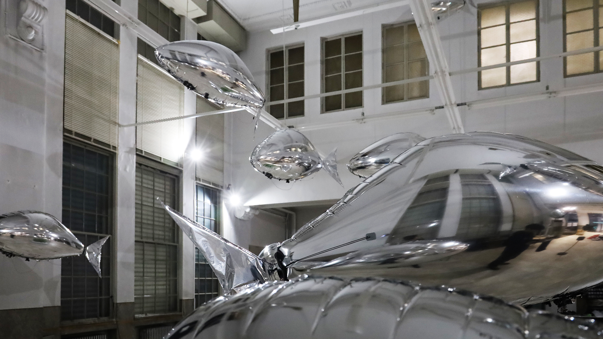 flock of by bit.studio