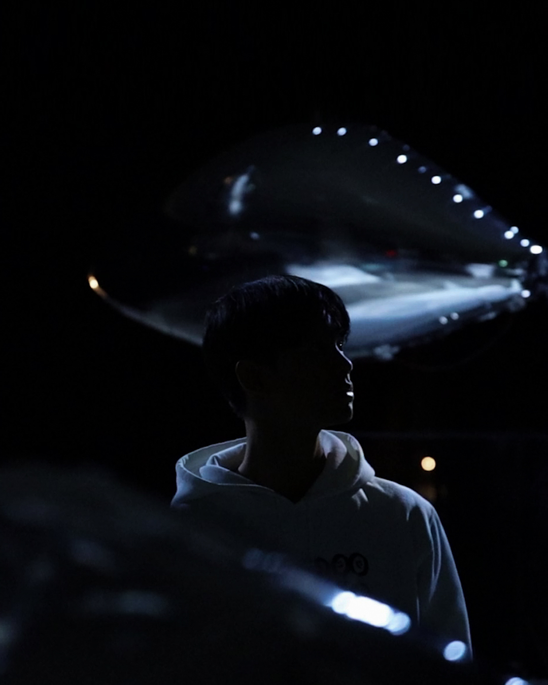 flock of by bit.studio