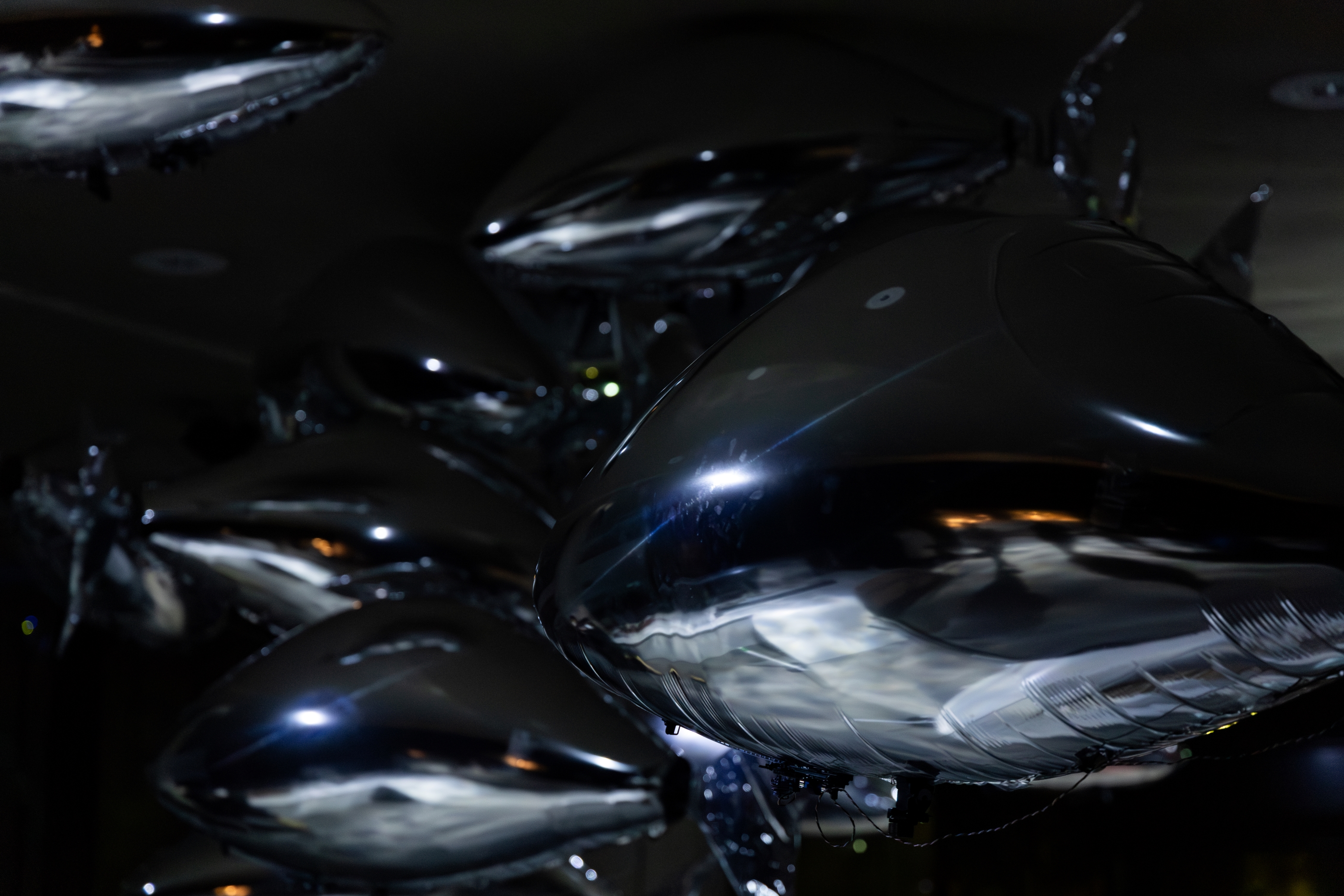 flock of by bit.studio