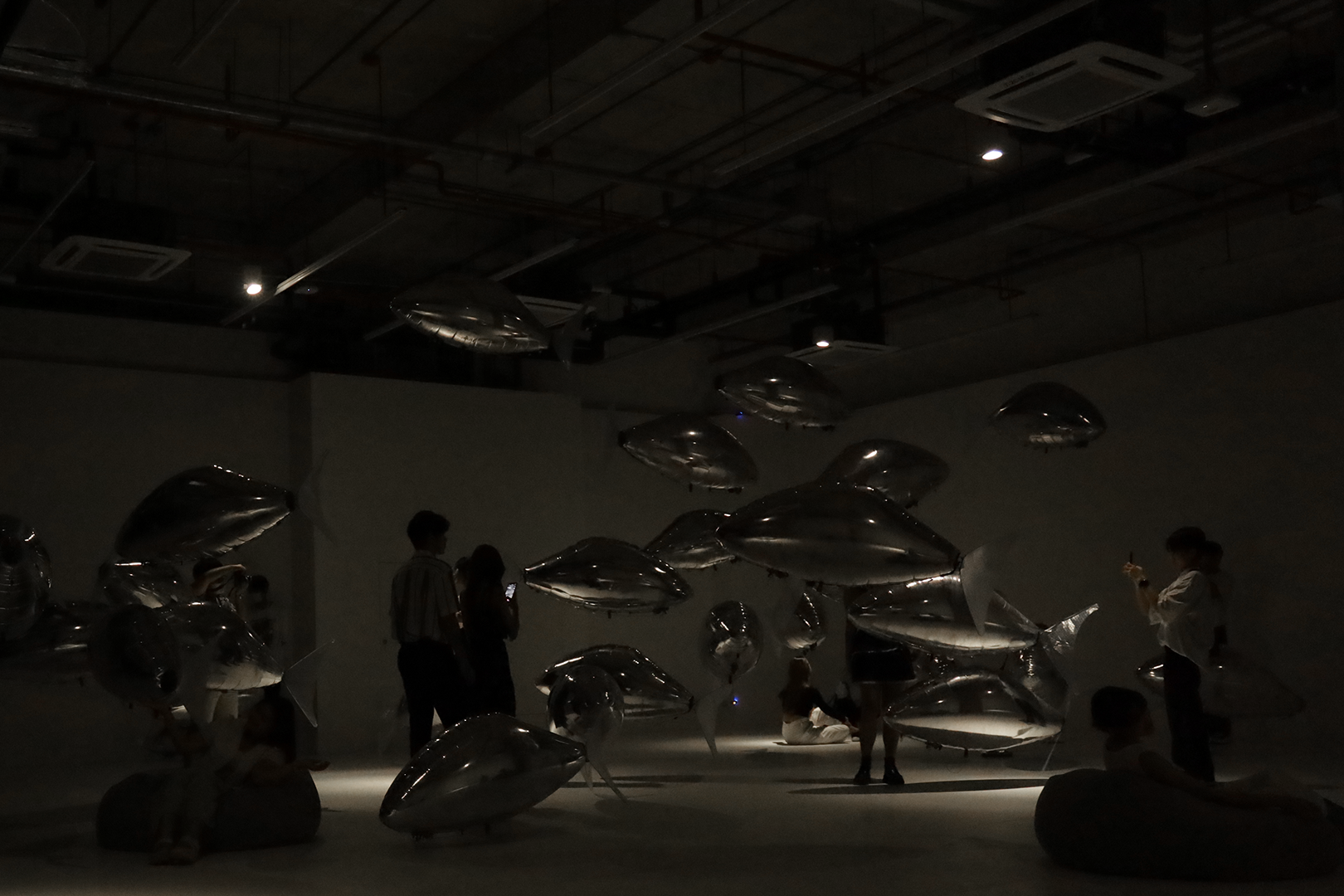 flock of by bit.studio