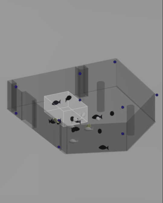 flock of by bit.studio