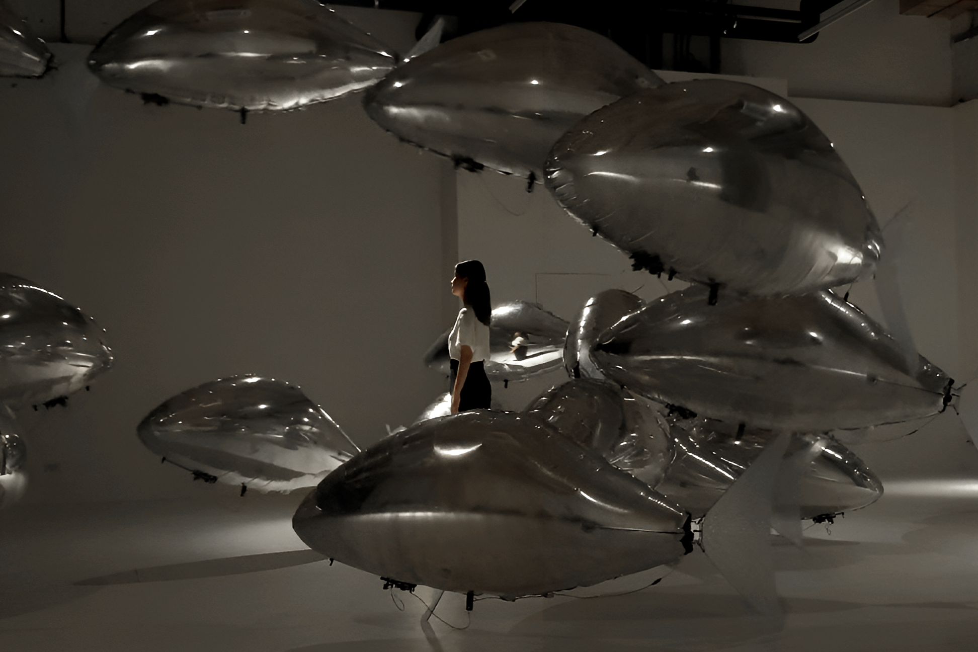 flock of by bit.studio